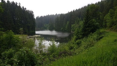 Grumbacher Teich